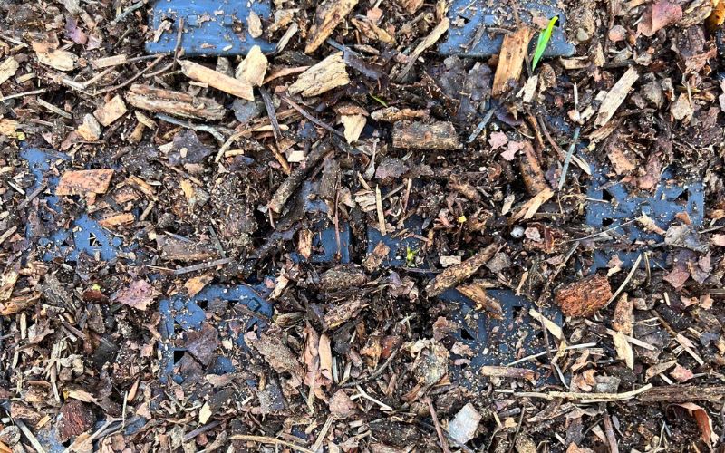 Therapiehof Niederrhein - Schönen (2)