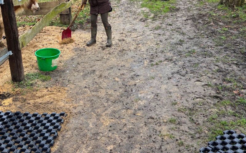 Therapiehof Niederrhein - Schönen (3)